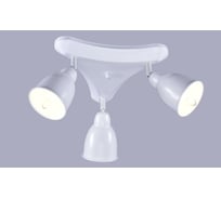 Потолочный светильник РОССВЕТ 3х60ВтхE14 РС21844 WT/3C