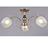 Потолочный светильник РОССВЕТ 3х60ВтхE27 РС21269 FG/3C