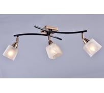 Потолочный светильник РОССВЕТ 3х60ВтхE14 РС21398 BK/3C