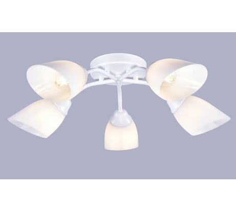 Потолочный светильник РОССВЕТ 5х20ВтхE27 РС21416 WT/5C