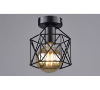 Потолочный светильник РОССВЕТ 1х60ВтхE27 РС21101 BK/1C