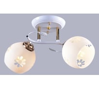 Потолочный светильник РОССВЕТ 2х60ВтхE27 РС20553 WT+FG/2C