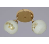 Потолочный светильник РОССВЕТ 2х60ВтхE27 РС21019 FG/2C