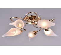 Потолочный светильник РОССВЕТ 5х60ВтхE14 РС21270 FG/5C