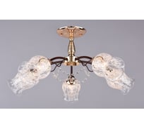 Потолочный светильник РОССВЕТ 5х60ВтхE27 РС20522 BRN+FG/5C