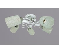 Потолочный светильник РОССВЕТ 5х60ВтхE27 РС20733 WT+CR/5C
