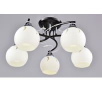 Потолочный светильник РОССВЕТ 5х60ВтхE27 РС20964 BK+CR/5C