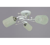 Потолочный светильник РОССВЕТ 3х60ВтхE27 РС20733 WT+CR/3C
