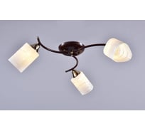 Потолочный светильник РОССВЕТ 3х60ВтхE27 РС20163 BRN+FG/3C