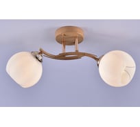 Потолочный светильник РОССВЕТ 2х60ВтхE27 РС20731 WD+FG/2C