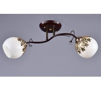 Потолочный светильник РОССВЕТ 2х60ВтхE27 РС20681 BRN+FG/2C