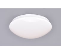 Потолочный светильник РОССВЕТ LED-модуль*24Вт*LED РС20754/1