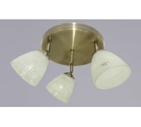 Потолочный светильник РОССВЕТ 3х60ВтхE27 РС21007 AB/3C