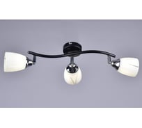 Потолочный светильник РОССВЕТ 3х60ВтхE27 РС20104 BK+CR/3C