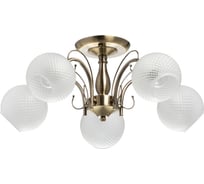 Люстра De City Альфа 5-60W E27 220 V 324016405