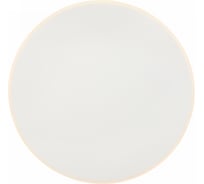 Настенный светильник (бра) Freya 17 Вт FR6002WL-L20W