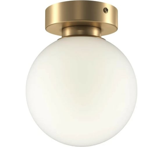 Настенный светильник MAYTONI (бра) Basic form, 1хE14x40 W MOD321WL-01G1