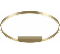 Потолочный светильник MAYTONI Rim 50 LED MOD058CL-L50BS4K