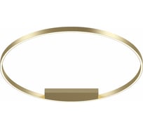 Потолочный светильник MAYTONI Rim 65 LED MOD058CL-L65BS4K