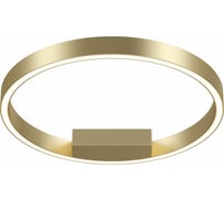 Потолочный светильник MAYTONI Rim 25 LED MOD058CL-L25BS4K