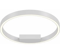 Потолочный светильник MAYTONI Rim 25 LED MOD058CL-L25W4K