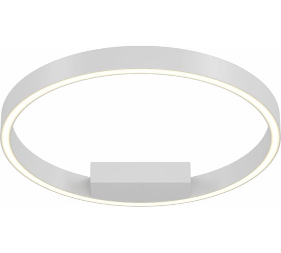 Потолочный светильник MAYTONI Rim 25 LED MOD058CL-L25W4K 1