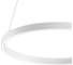 Подвесной светильник MAYTONI Rim 37 LED MOD058PL-L32W4K 2