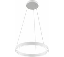 Подвесной светильник MAYTONI Rim 25 LED MOD058PL-L22W4K