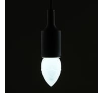 Светодиодная лампа LUAZON декоративная Lighting "Шишка", 5 SMD2835, для белт-лайта, белый 2580331