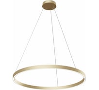 Подвесной светильник MAYTONI Rim 51 LED MOD058PL-L42BS4K
