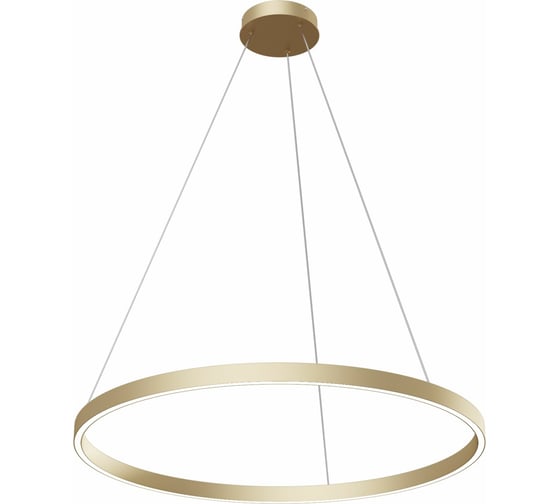 Подвесной светильник MAYTONI Rim 51 LED MOD058PL-L42BS4K