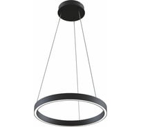 Подвесной светильник MAYTONI Rim 25 LED MOD058PL-L22B4K