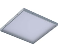 Светильник INNOLUX 14 926 ДВО-07-О-30-4К-IP54-A3 14926