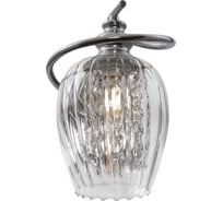 Настенный светильник MAYTONI (бра) Blues 1хE14x40 W MOD044-WL-01-N