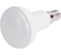 Светодиодная лампа Osram LVR60 7SW/865 230V E14 2X5 4058075583993
