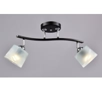 Потолочный светильник РОССВЕТ 2х60ВтхE27 РС20996 BK+CR/2C