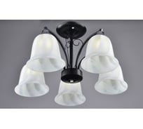 Потолочный светильник РОССВЕТ 5х60ВтхE27 РС22762/5