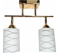 Потолочный светильник РОССВЕТ 2*60Вт*E27 РС18250 FGD/2C