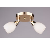 Настенно-потолочный спот РОССВЕТ 2*40Вт*E14 РС17170 CG/2S