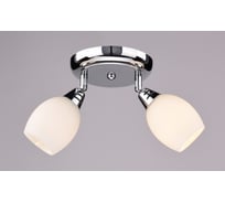 Настенно-потолочный спот РОССВЕТ 2*40Вт*E14 РС17170 CR/2S