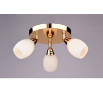 Настенно-потолочный спот РОССВЕТ 3*40Вт*E14 РС17170 CG/3S