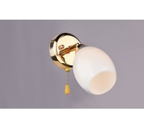 Настенно-потолочный спот РОССВЕТ 1*40Вт*E14 РС17200 CG/1S