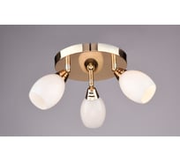 Настенно-потолочный спот РОССВЕТ 3*40Вт*E14 РС17200 CG/3S