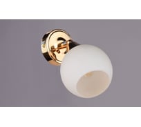 Настенно-потолочный спот РОССВЕТ 1*40Вт*E27 РС17260 CG/1S