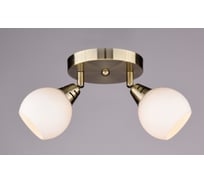 Настенно-потолочный спот РОССВЕТ 2*40Вт*E14 РС17260 BR/2S