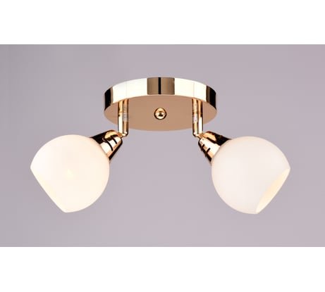 Настенно-потолочный спот РОССВЕТ 2*40Вт*E27 РС17260 CG/2S