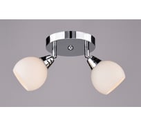 Настенно-потолочный спот РОССВЕТ 2*40Вт*E27 РС17260 CR/2S