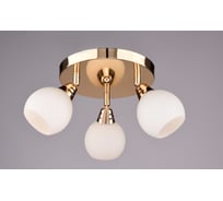 Настенно-потолочный спот РОССВЕТ 3*40Вт*E27 РС17260 CG/3S