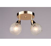 Настенно-потолочный спот РОССВЕТ 2*40Вт*E14 РС17290 CG/2S