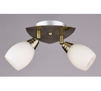 Настенно-потолочный спот РОССВЕТ 2*40Вт*E14 РС17320 BR/2S